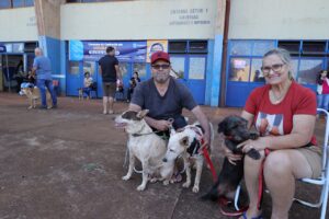 Caravana da Castração atendeu 545 cães e gatos em Dourados em apenas 4 dias