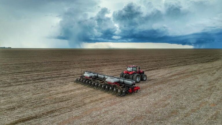 Cenário da semeadura de soja no Piauí é preocupante, aponta presidente da Aprosoja