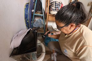 Contra o mosquito, todos do mesmo lado: Mato Grosso do Sul realiza ‘Dia D’ de Combate à Dengue