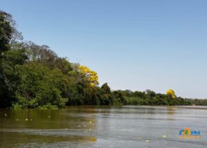Coxim terá terça-feira quente com possibilidade de pancadas de chuva e trovoadas