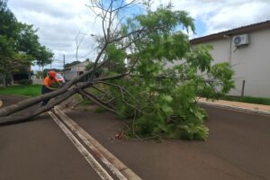 Defesa Civil mantém atuação contínua após temporais e mantém alerta até sábado