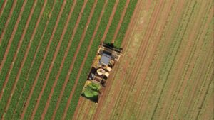 Depreciação: custo invisível consome patrimônio e exige atenção do pecuarista; entenda