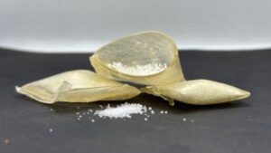 Embrapa cria sachês biodegradáveis que reduzem perdas de fertilizante