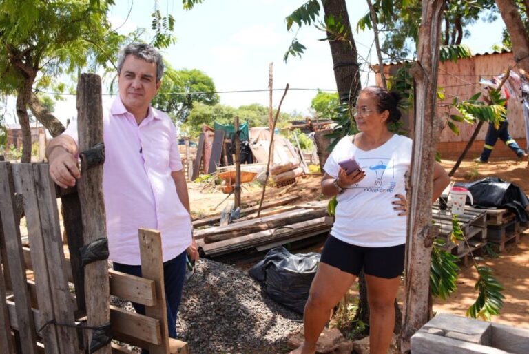 Landmark pede tapa-buracos no Parque dos Novos Estados e remoção de árvore no Jardim Tijuca