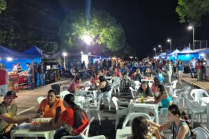 Lia Nogueira solicita ligação de energia elétrica para garantir o funcionamento da feira d