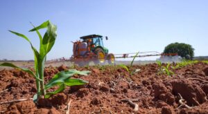 Mercado global de bioestimulantes chega a US$ 4,47 bi e sinaliza maturidade