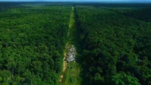 Na COP30, FGV e Abiec destacam potencial sustentável da pecuária