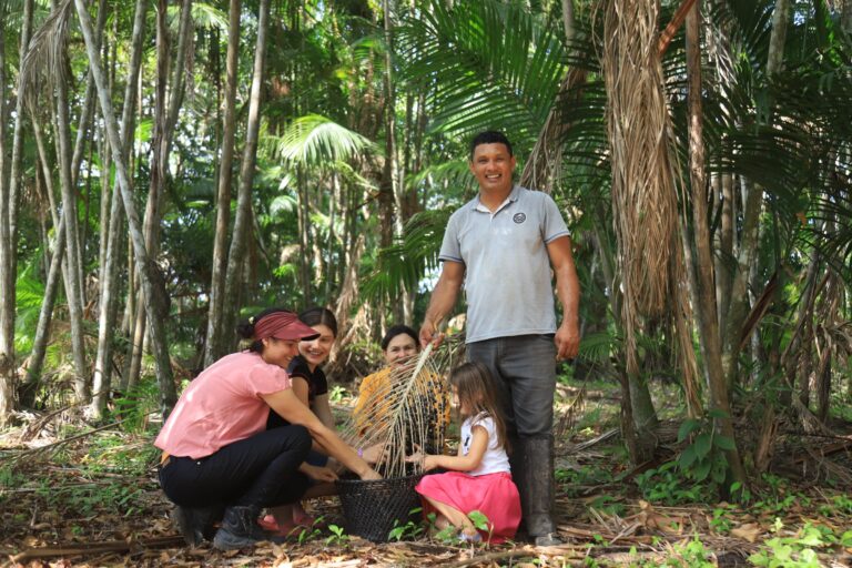 Na casa da COP30, produção de açaí impulsiona a economia e fortalece a agricultura sustentável