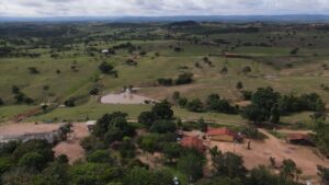 Percentual de reserva legal em fazendas antigas gera dúvidas no setor; especialista responde