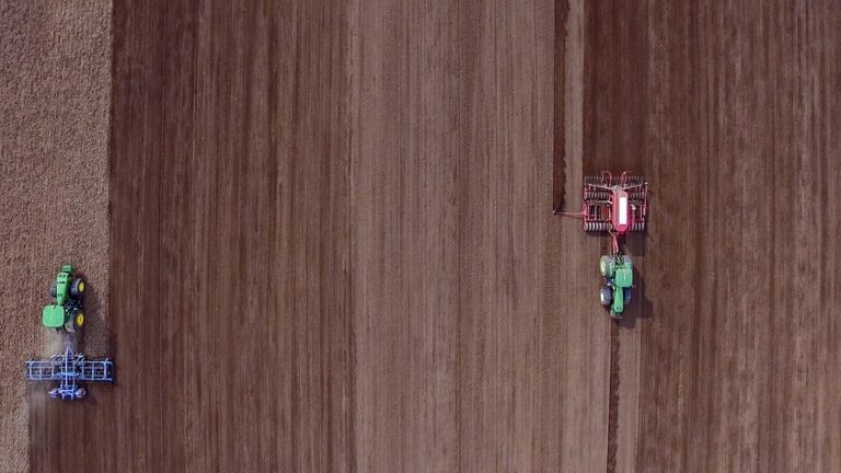 Plantio de soja no Brasil alcança 58,4% da área prevista, segundo Conab