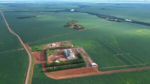 Porto Nacional (TO) receberá evento que dá início à colheita de soja no Brasil; saiba mais