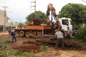 Prefeitura atua sem parar na limpeza e liberação de vias em CG