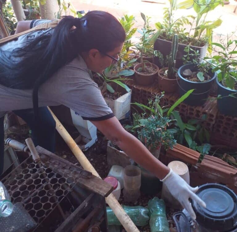 Prefeitura de Dourados registra queda de 41% nas notificações de dengue em 2025