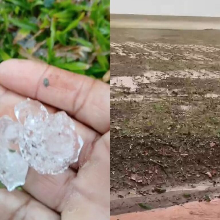 Prejuízo! Temporal com granizo devasta lavouras e acende alerta para a safra de soja no Paraná
