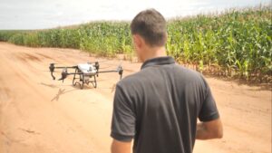 Pulverização agrícola com drones: saiba os riscos legais da atividade