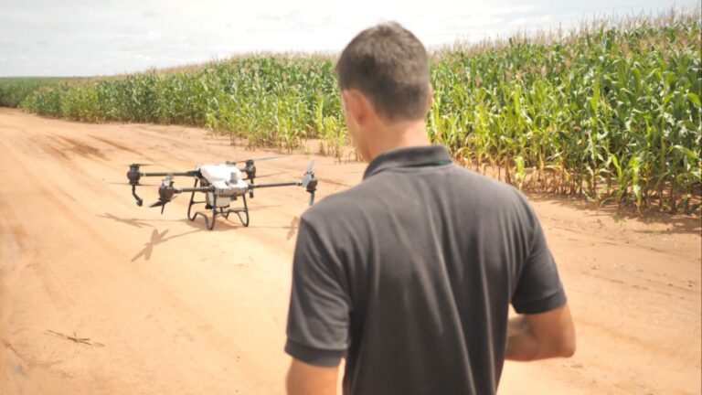 Pulverização agrícola com drones: saiba os riscos legais da atividade