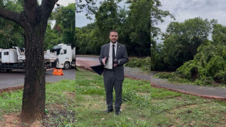 Vereador Leinha acompanha situação após queda de árvore no Bairro Pioneiros