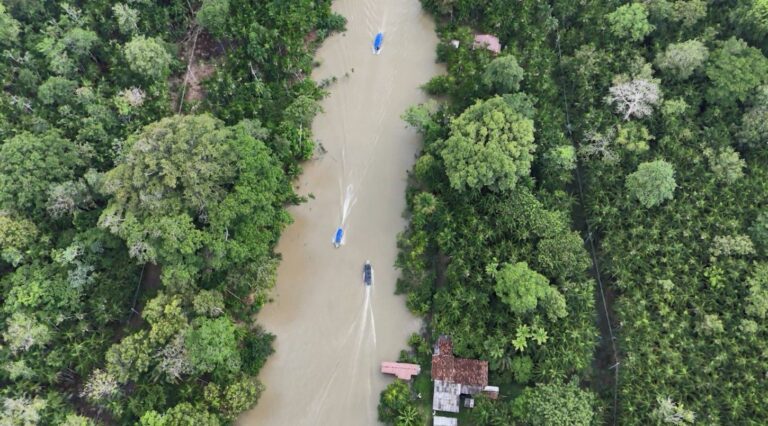 Você conhece a Ilha do Combu? Destino é destaque em meio à COP30