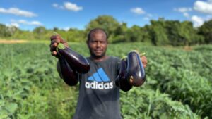 Alimentação Escolar da REE/MS impulsiona aprendizagem e fortalece agricultores familiares