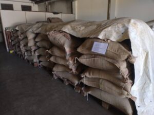 grãos, café, operação, santa catarina