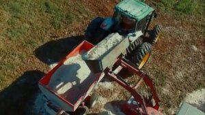 Calagem no início do período chuvoso é segura, afirma especialista