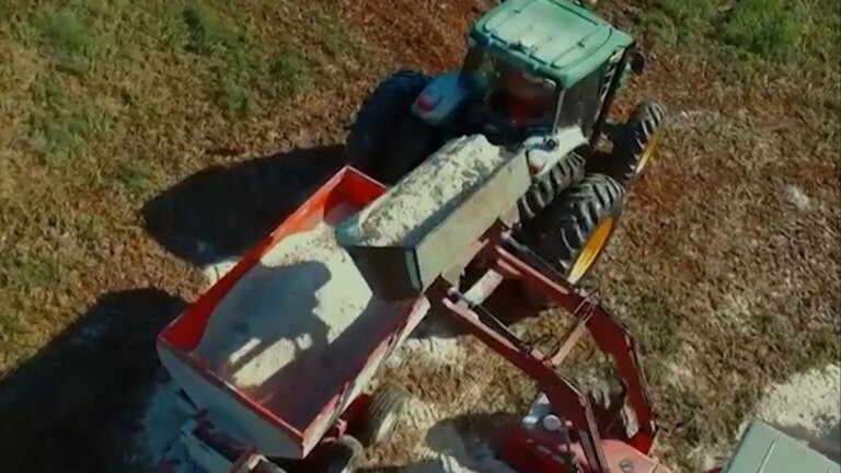 Calagem no início do período chuvoso é segura, afirma especialista