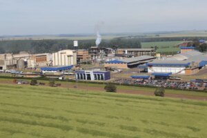 Cooperativa vai antecipar R$ 200 milhões em sobras aos cooperados