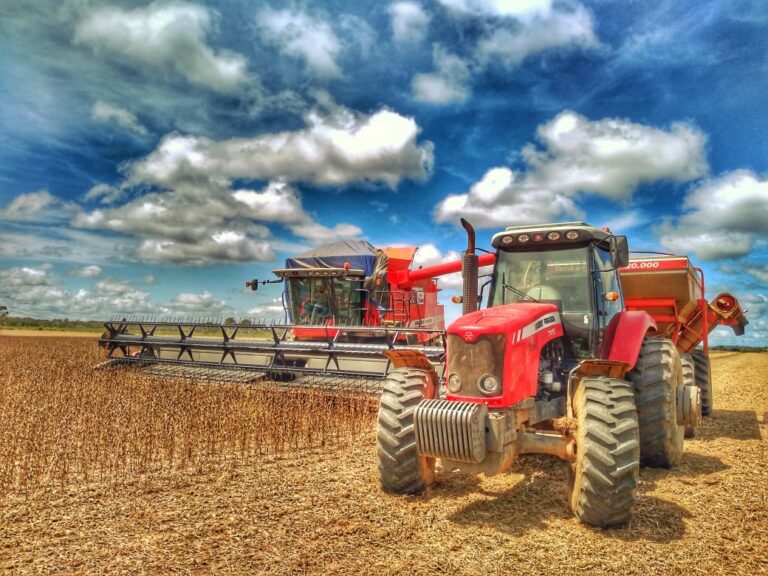 Embrapa aponta que área de soja em estado brasileiro deve ultrapassar 700 mil hectares