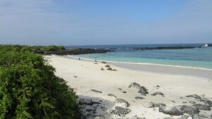 Galápagos: paraíso vulcânico que inspirou Darwin há 190 anos