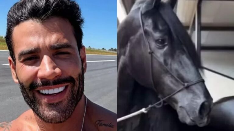 Gusttavo Lima exibe cavalo avaliado em até R$ 2,5 milhões