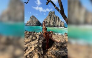 Ísis Valverde curte últimos dias do ano em Fernando de Noronha