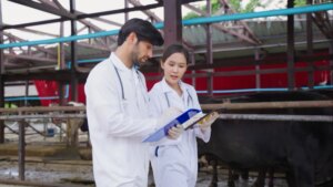 MG: médico veterinário garante segurança alimentar no estado; entenda