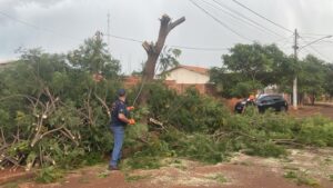 Prefeitura e Defesa Civil atuam para reduzir impactos do temporal em Dourados