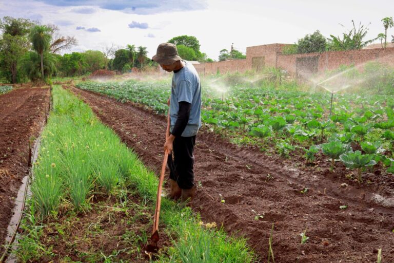 Prefeitura fortalece agricultura familiar com entrega de kits de irrigação