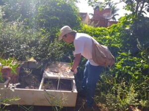 Prefeitura reforça alerta de combate à dengue com chuvas constantes em Dourados