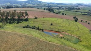 Produtor transforma área ociosa em ativo ambiental no Sul de Minas