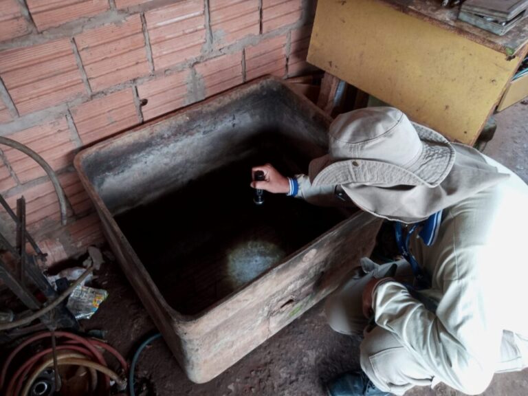 Quase 20 toneladas de lixo são recolhidas na primeira etapa do Meu Bairro Limpo 