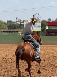 Retrospectiva 2025 – Cultura: projetos, tradições e fortalecimento artístico