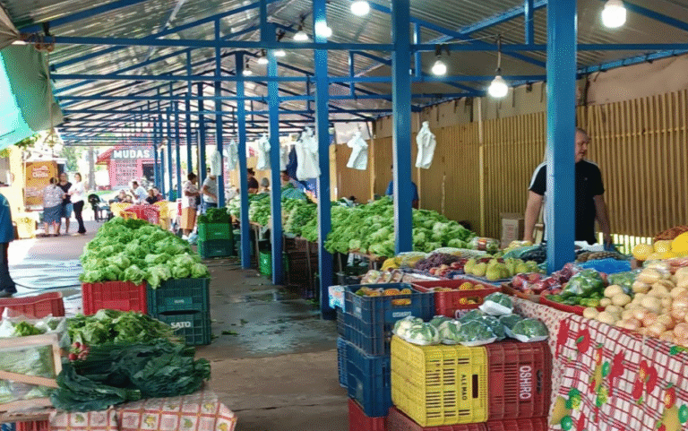 Serviços essenciais continuam funcionando em Dourados durante o recesso de Ano Novo