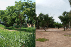 Solicitação por limpeza no Bosque dos Zapata’s é atendida com agilidade por Rafael Tavares