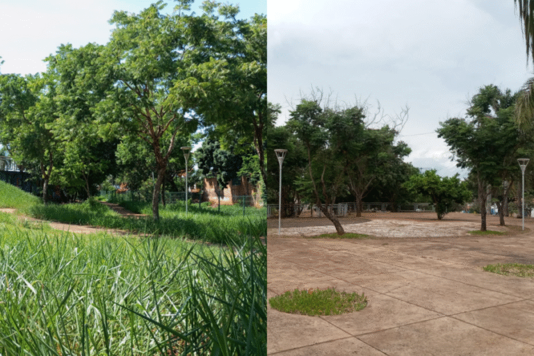 Solicitação por limpeza no Bosque dos Zapata’s é atendida com agilidade por Rafael Tavares