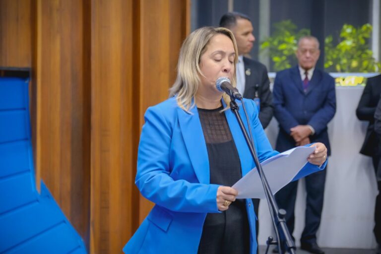 Trecho da MS-141 em Ivinhema passa por tapa-buracos por solicitação de Lia Nogueira