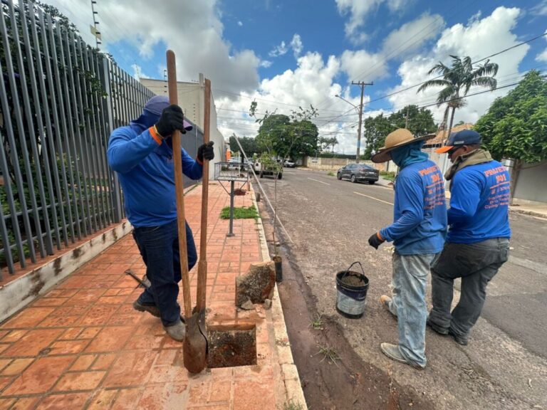 Via Verde impulsiona plantio de 700 novas árvores no Monte Líbano