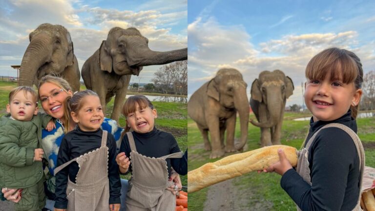 Virgínia Fonseca leva os filhos a um safári na Espanha