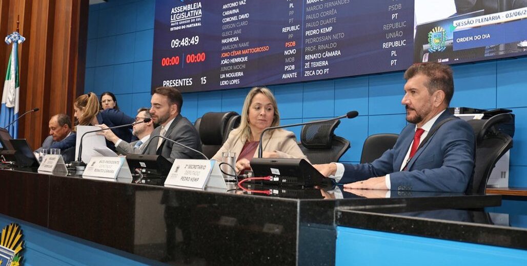 Ordem do dia: Diretrizes de incentivo à proteção às mães atípicas vai a redação final